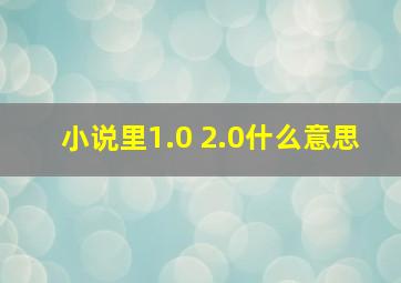 小说里1.0 2.0什么意思